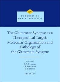 The Glutamate Synapse as a Therapeutic Target