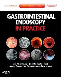 Gastrointestinal Endoscopy in Practice