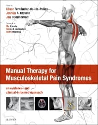 Manual Therapy for Musculoskeletal Pain Syndromes