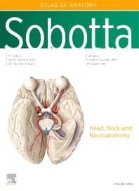 Sobotta Atlas of Anatomy, Vol. 3, 17th ed., English/Latin