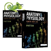Anatomy & Physiology, 10e