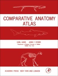 Comparative Anatomy Atlas