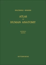 Atlas of Human Anatomy