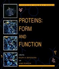 Proteins: Form and Function