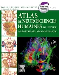 Atlas de neurosciences humaines de Netter