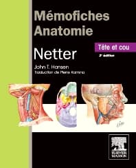 Mémofiches Anatomie Netter - Tête et cou