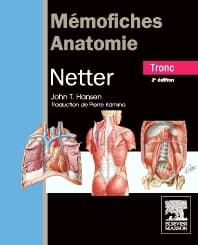 Mémofiches Anatomie Netter - Tronc