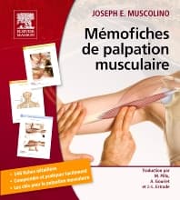 Mémofiches de palpation musculaire