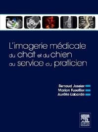 L’imagerie médicale du chat et du chien au service du praticien