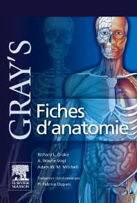 Gray's Fiches d'anatomie