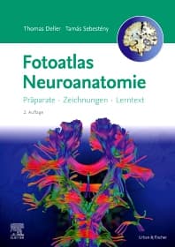 Fotoatlas Neuroanatomie