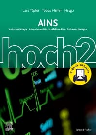 AINS hoch2 + E-Book