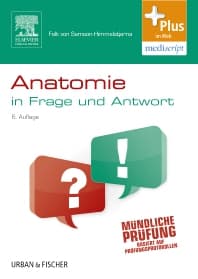 Anatomie in Frage und Antwort