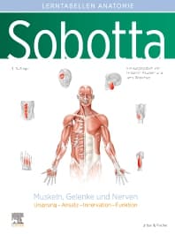 Sobotta Lerntabellen Anatomie Muskeln, Gelenke und Nerven