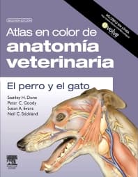 Atlas en color de anatomía veterinaria. El perro y del gato (incluye evolve)