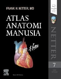 Atlas Anatomi Manusia Netter