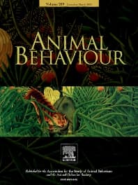 Image - Animal Behaviour