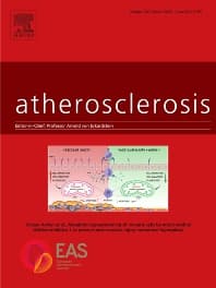 Image - Atherosclerosis