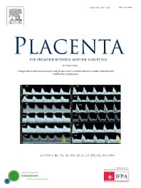 Image - Placenta
