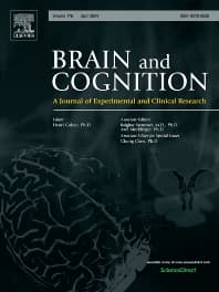 Image - Brain and Cognition
