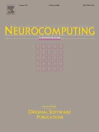 Image - Neurocomputing