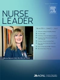 Image - Nurse Leader