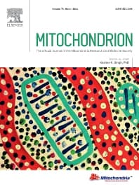 Image - Mitochondrion