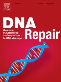 Image - DNA Repair