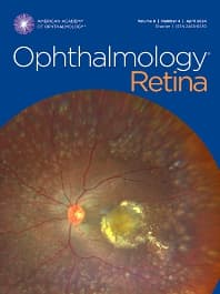 Image - Ophthalmology Retina