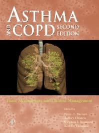 Image - Asthma and COPD