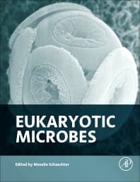 Image - Eukaryotic Microbes