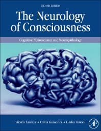 Image - The Neurology of Consciousness