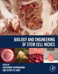 Image - Biology and Engineering of Stem Cell Niches