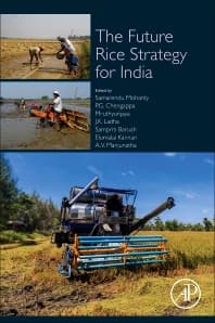 Image - The Future Rice Strategy for India