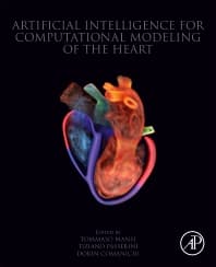 Image - Artificial Intelligence for Computational Modeling of the Heart