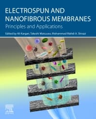 Image - Electrospun and Nanofibrous Membranes