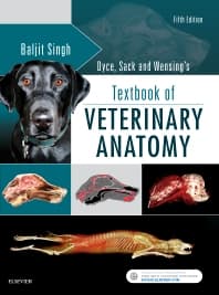 Image - Dyce, Sack, and Wensing's Textbook of Veterinary Anatomy