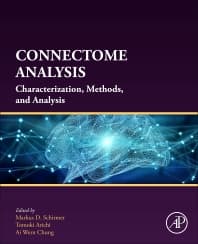 Image - Connectome Analysis