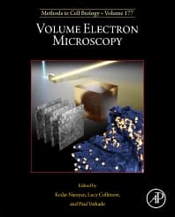 Image - Volume Electron Microscopy