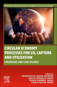 Image - Circular Economy Processes for CO2 Capture and Utilization