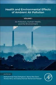 Image - Health and Environmental Effects of Ambient Air Pollution